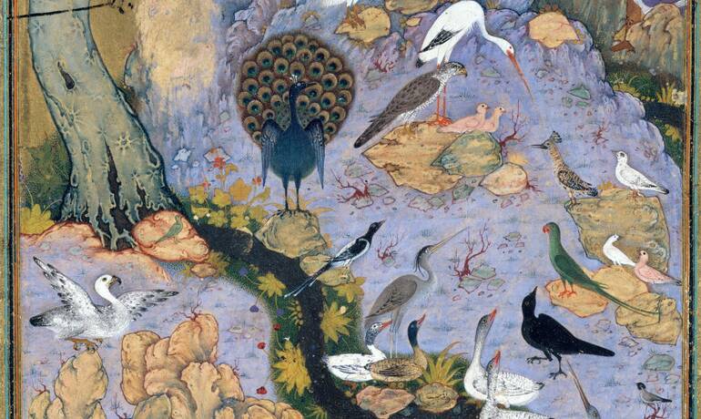 The_Concourse_of_the_Birds___Folio_11r_from_a_Mantiq_al-tair__Language_of_the_Birds__MET_DT227734.jpg