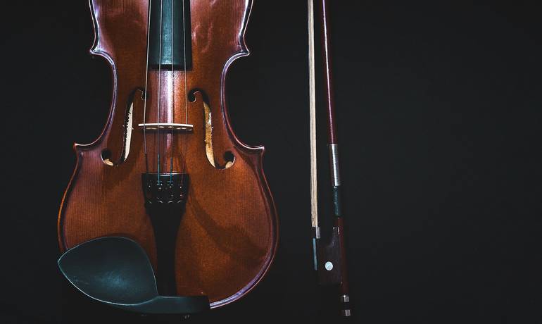 bowed-instrument-1853324_1920.jpg